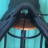 Lippo aurora fram